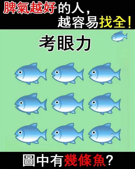 圖中有幾條魚|趣味新聞 